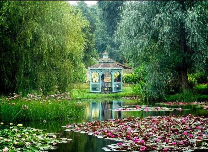 Bennetts Water Gardens , , United Kingdom